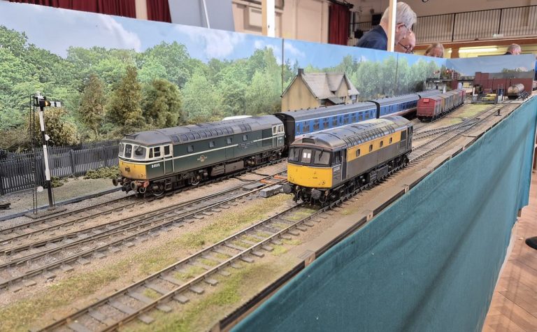 Two Class 33s side by side on the loco spur at Patrick Lane